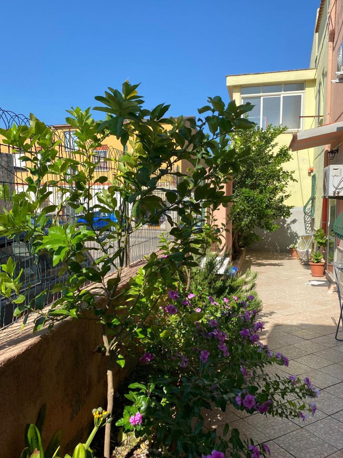 Lemon House Apartment ซัสซารี ภายนอก รูปภาพ